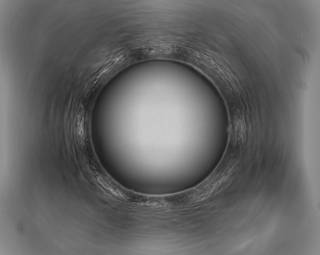 X0000112511250200908171326