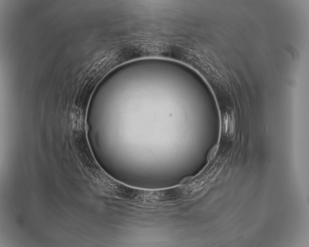 X0000112511251200908171326