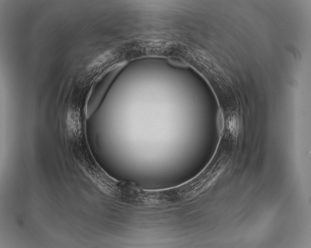 X0000112511252200908171326