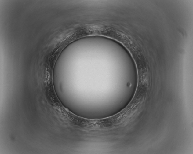 X0000112511253200908171326