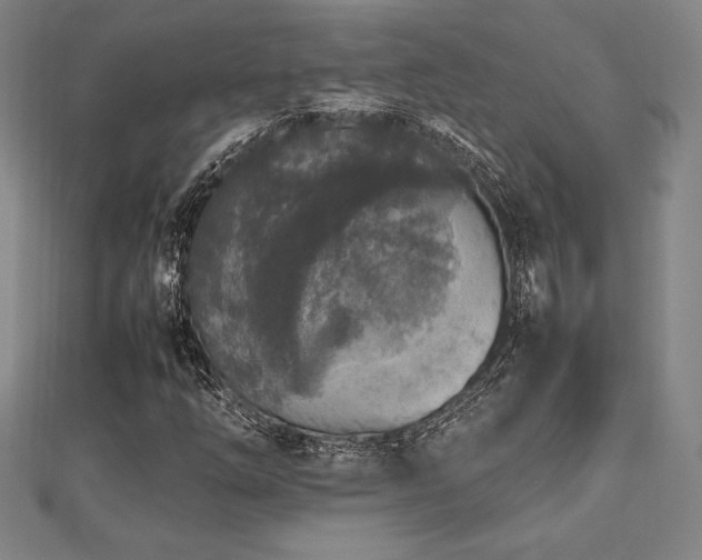 X0000112511254200908171326