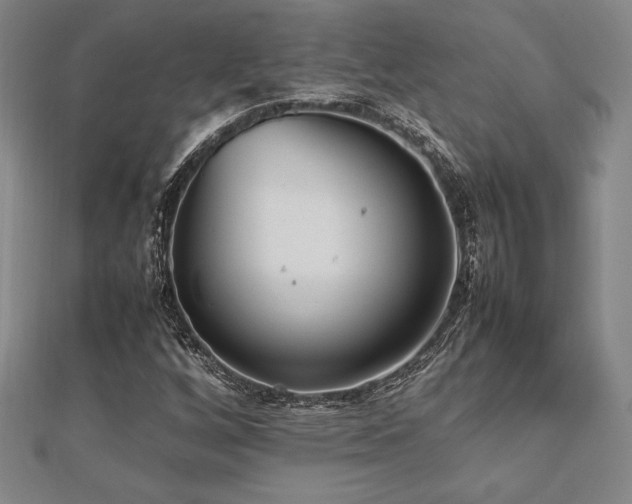 X0000112511256200908171326