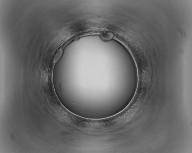 X0000112511257200908171326