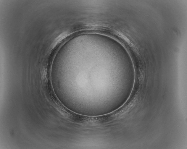 X0000112511259200908171326