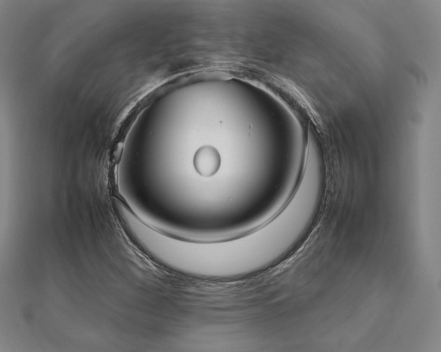 X0000112511260200908171326