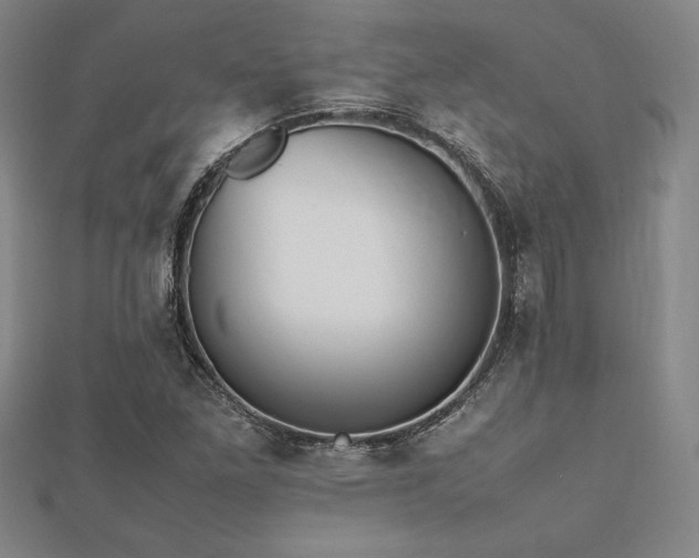 X0000112511261200908171326