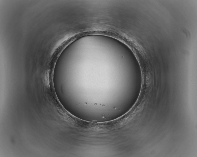 X0000112511262200908171326