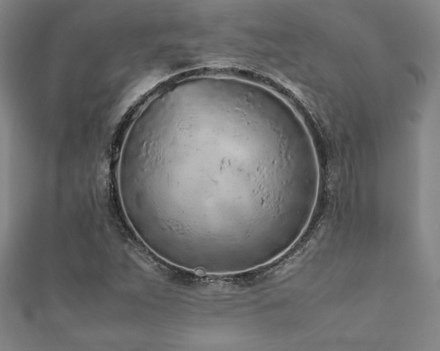 X0000112511263200908171326