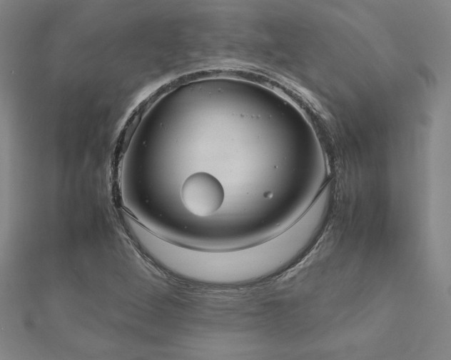 X0000112511264200908171326