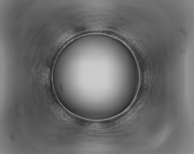 X0000112511265200908171326