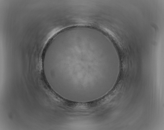 X0000112511267200908171326