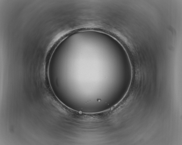 X0000112511270200908171326