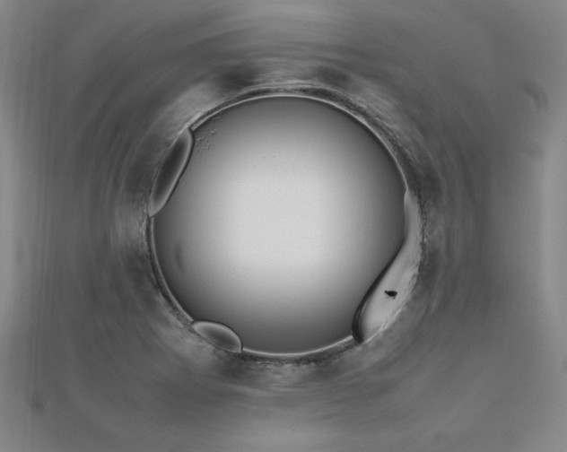 X0000112511273200908171326