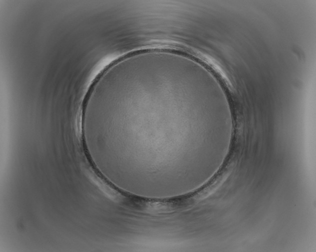 X0000112511275200908171326