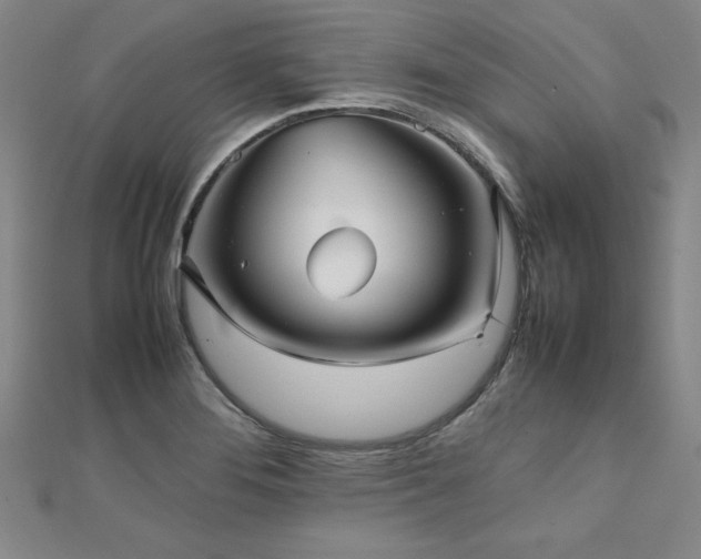 X0000112511276200908171326