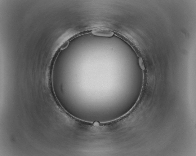 X0000112511277200908171326