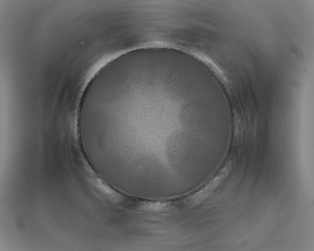 X0000112511278200908171326