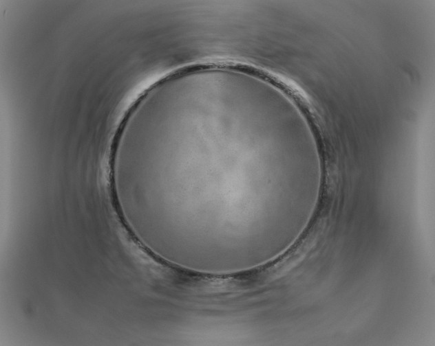 X0000112511279200908171326