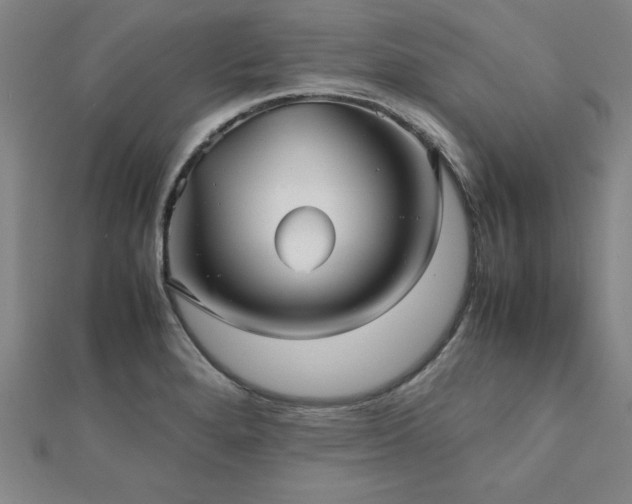 X0000112511280200908171326