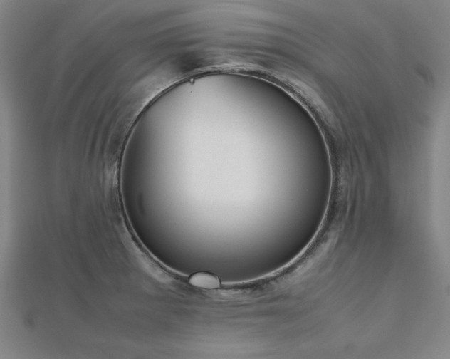 X0000112511281200908171326