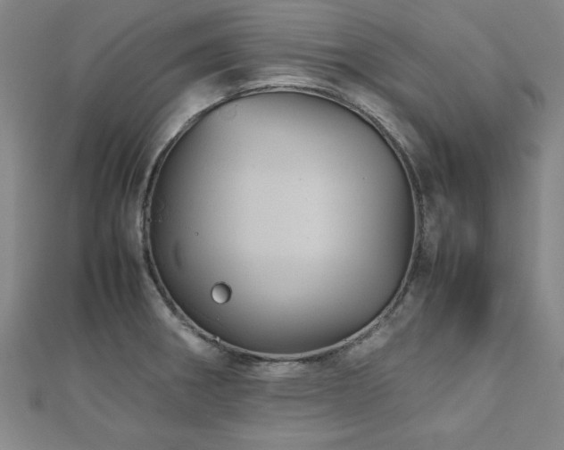 X0000112511282200908171326