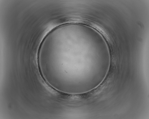 X0000112511283200908171326