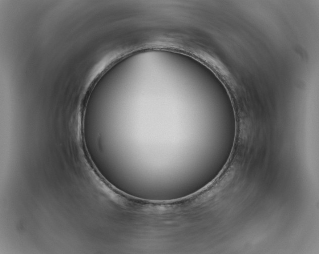 X0000112511286200908171326