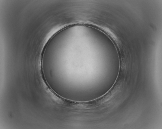 X0000112511287200908171326