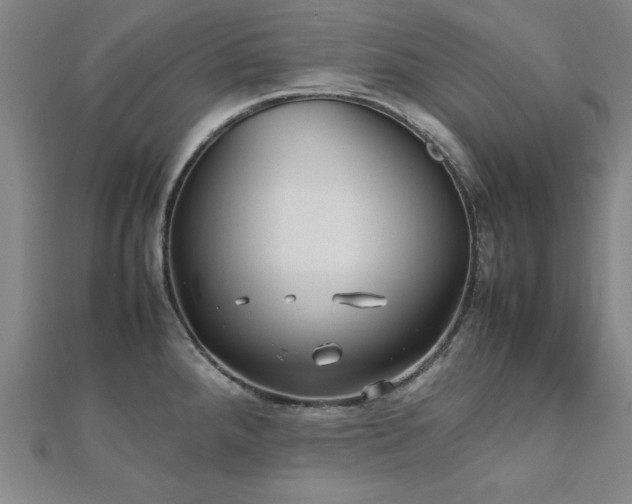 X0000112511288200908171326