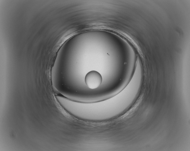 X0000112511289200908171326
