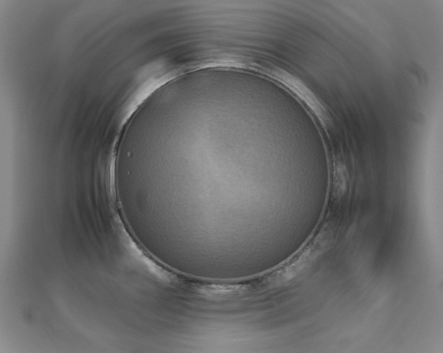 X0000112511290200908171326