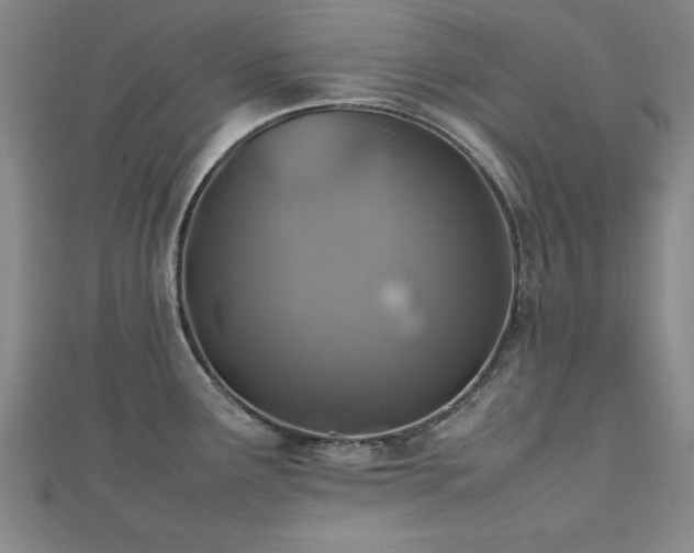 X0000112511291200908171326