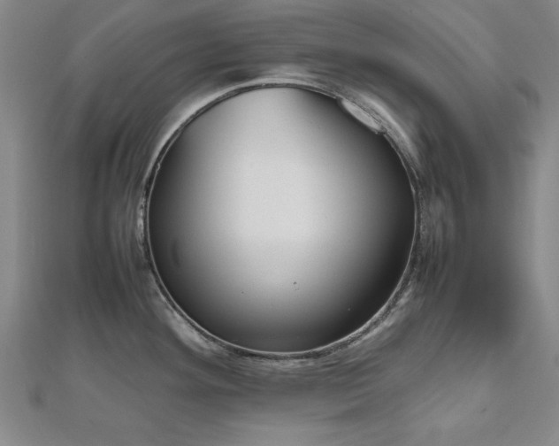 X0000112511292200908171326