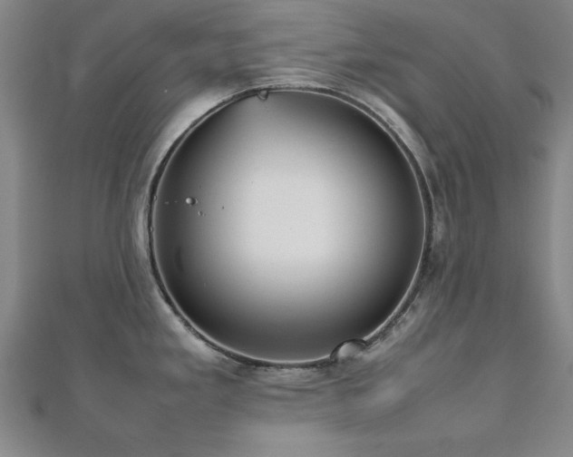 X0000112511293200908171326