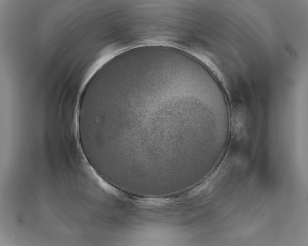X0000112511294200908171326