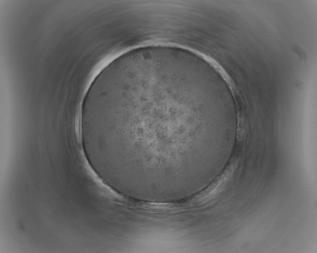 X0000112511295200908171326