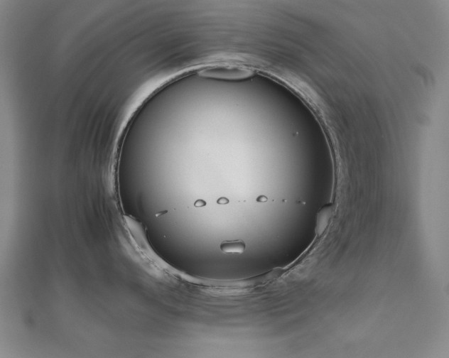 X0000112511296200908171326