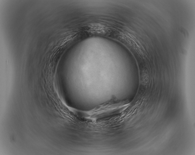 X0000112511297200908171325