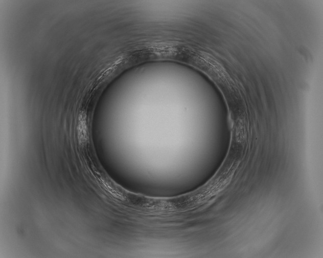 X0000112511298200908171325