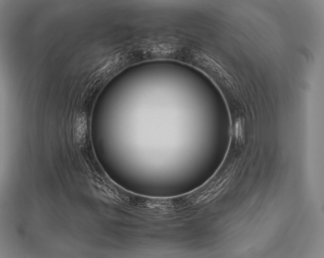 X0000112511299200908171325