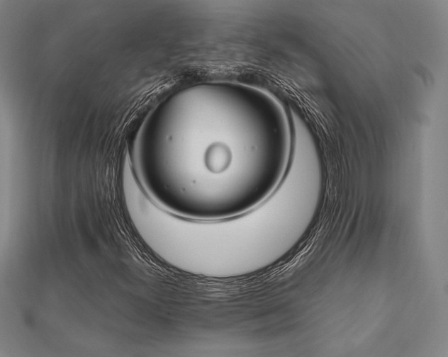 X0000112511300200908171325