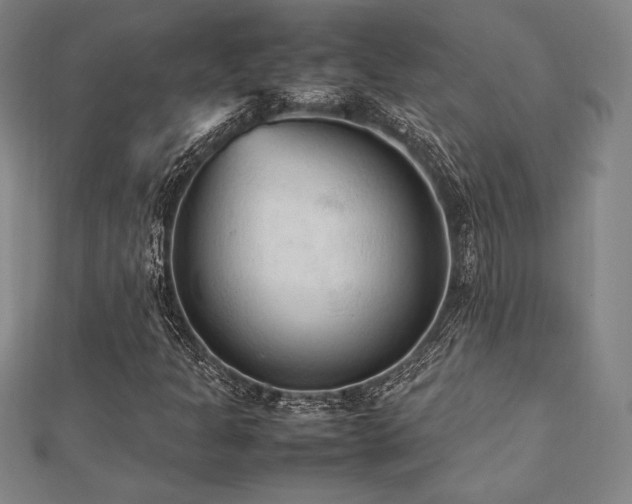 X0000112511301200908171325
