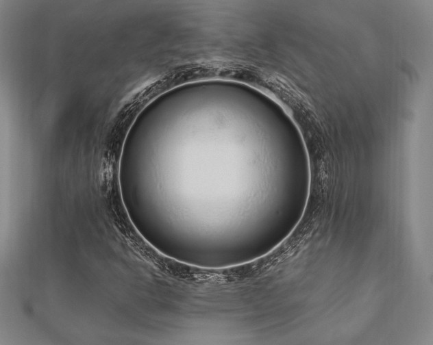 X0000112511302200908171325