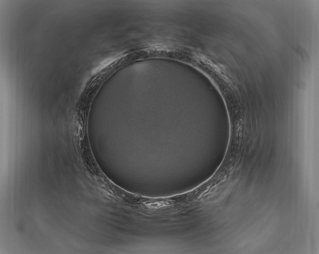 X0000112511303200908171325