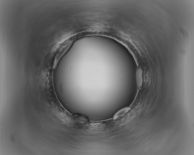 X0000112511304200908171325