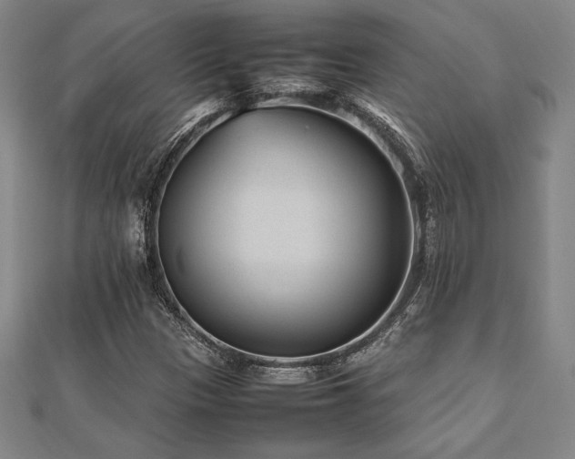 X0000112511305200908171325