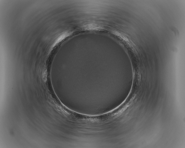 X0000112511306200908171325