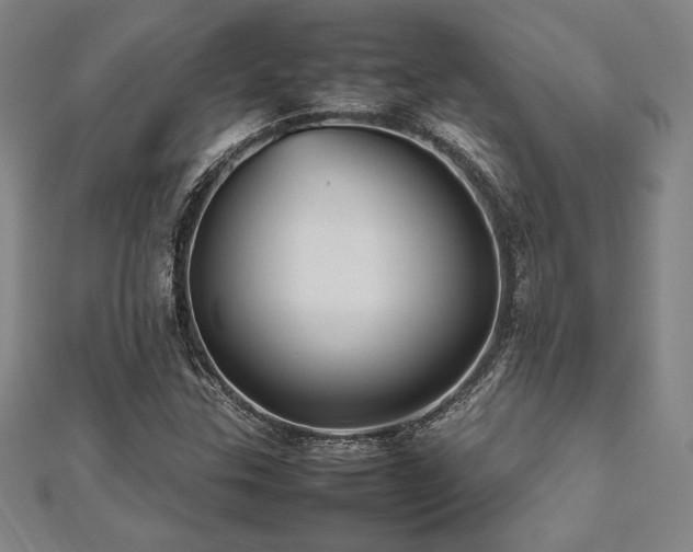 X0000112511307200908171325