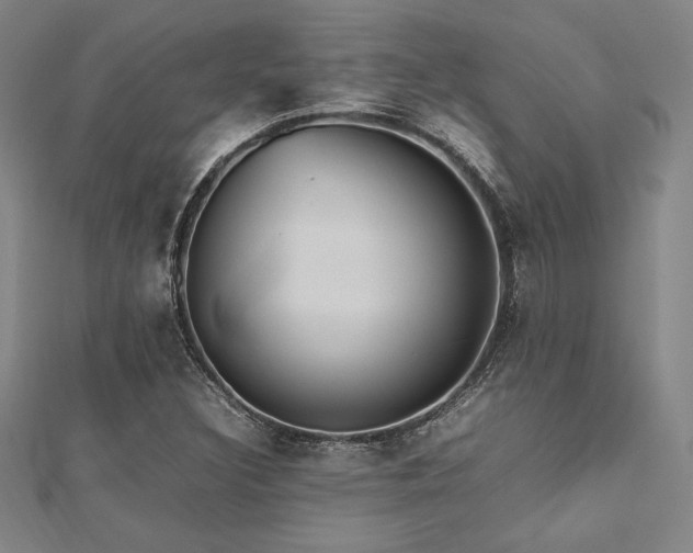 X0000112511308200908171325