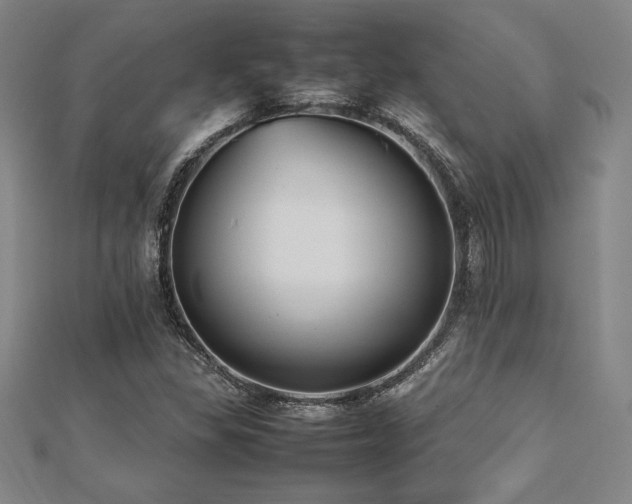 X0000112511309200908171325